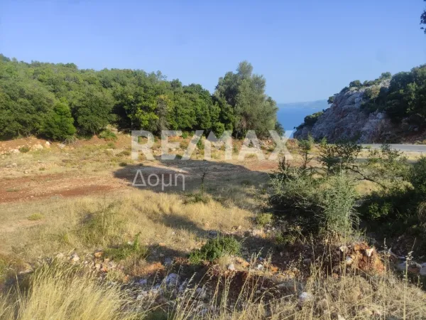 Αγροτεμάχιο 6276τ.μ.  - 2