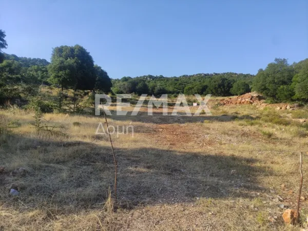 Αγροτεμάχιο 6276τ.μ.  - 3