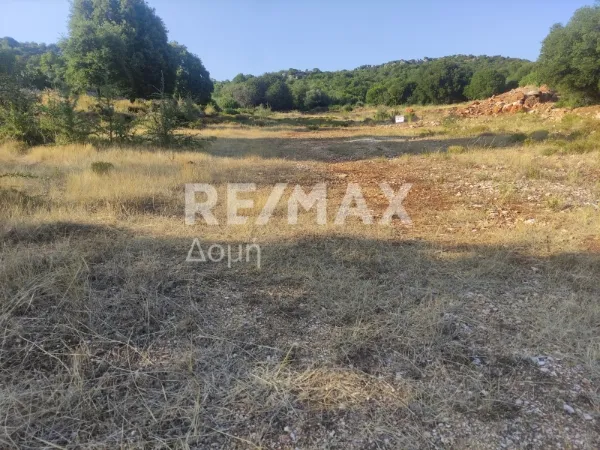 Αγροτεμάχιο 6276τ.μ.  - 4