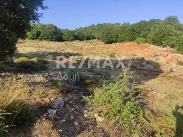 Αγροτεμάχιο 6276τ.μ.  - 5