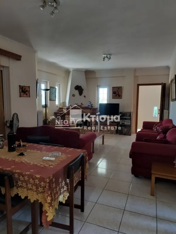 Detached house 264m²  - 5