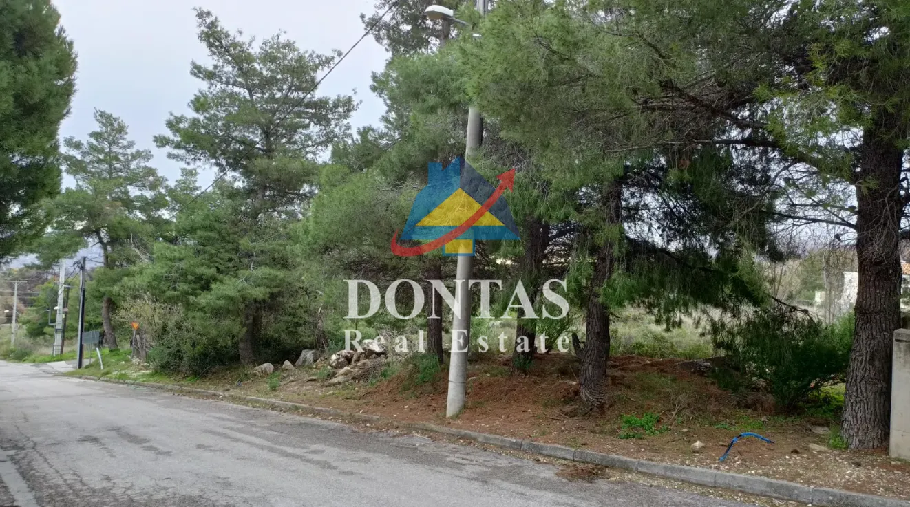 Οικόπεδο 1600τ.μ.  - 2