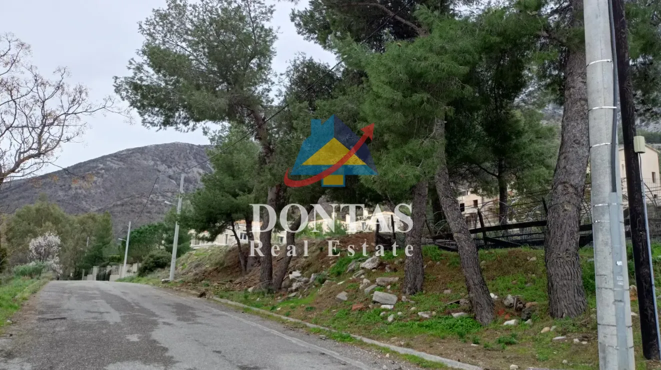Οικόπεδο 1600τ.μ.  - 2