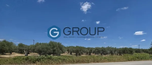 Αγροτεμάχιο 12000τ.μ.  - 2