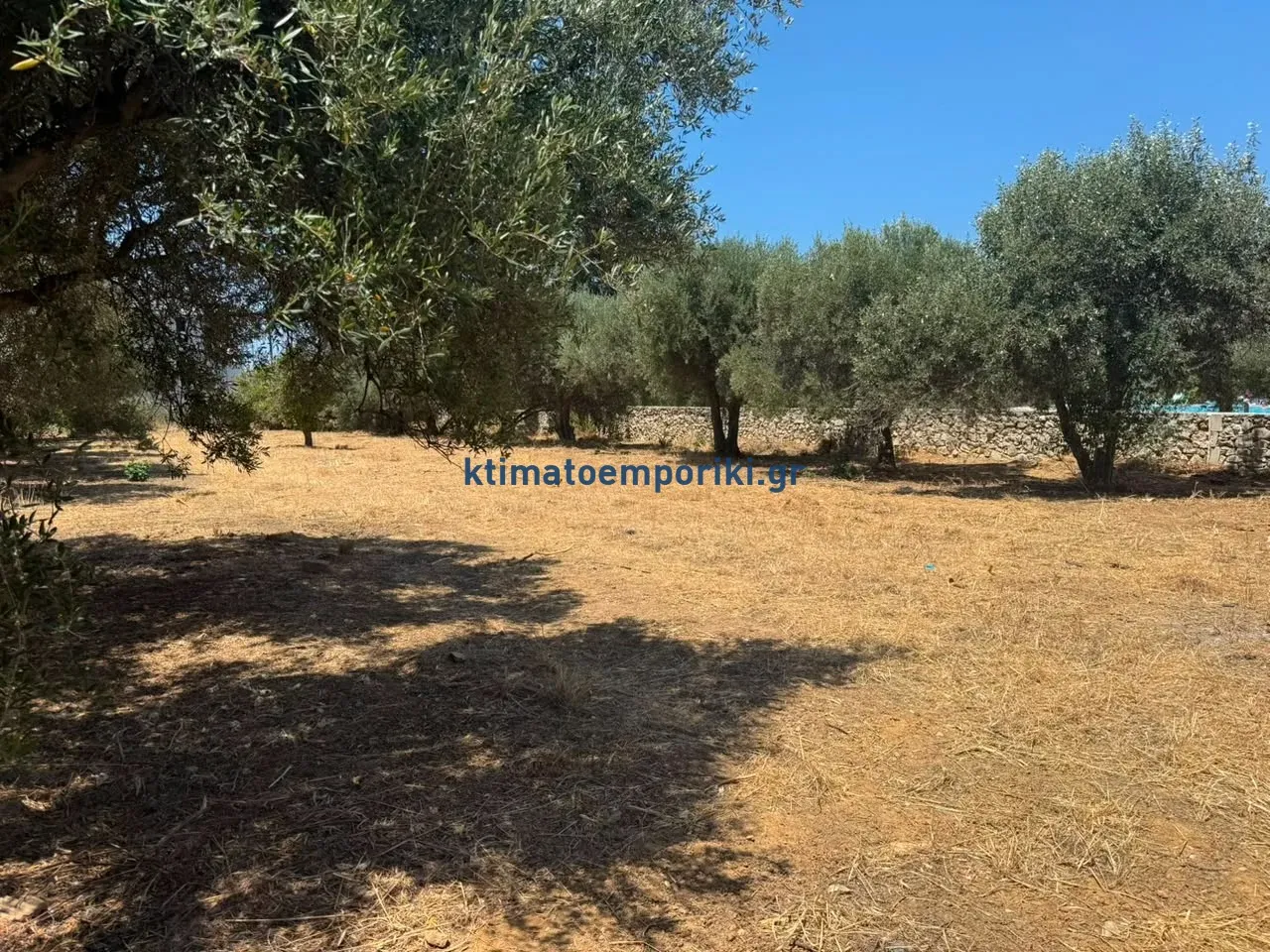 Οικόπεδο 2588τ.μ.  - 3