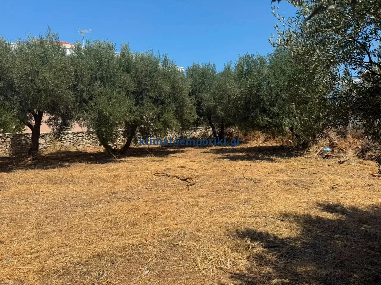 Οικόπεδο 2588τ.μ.  - 4