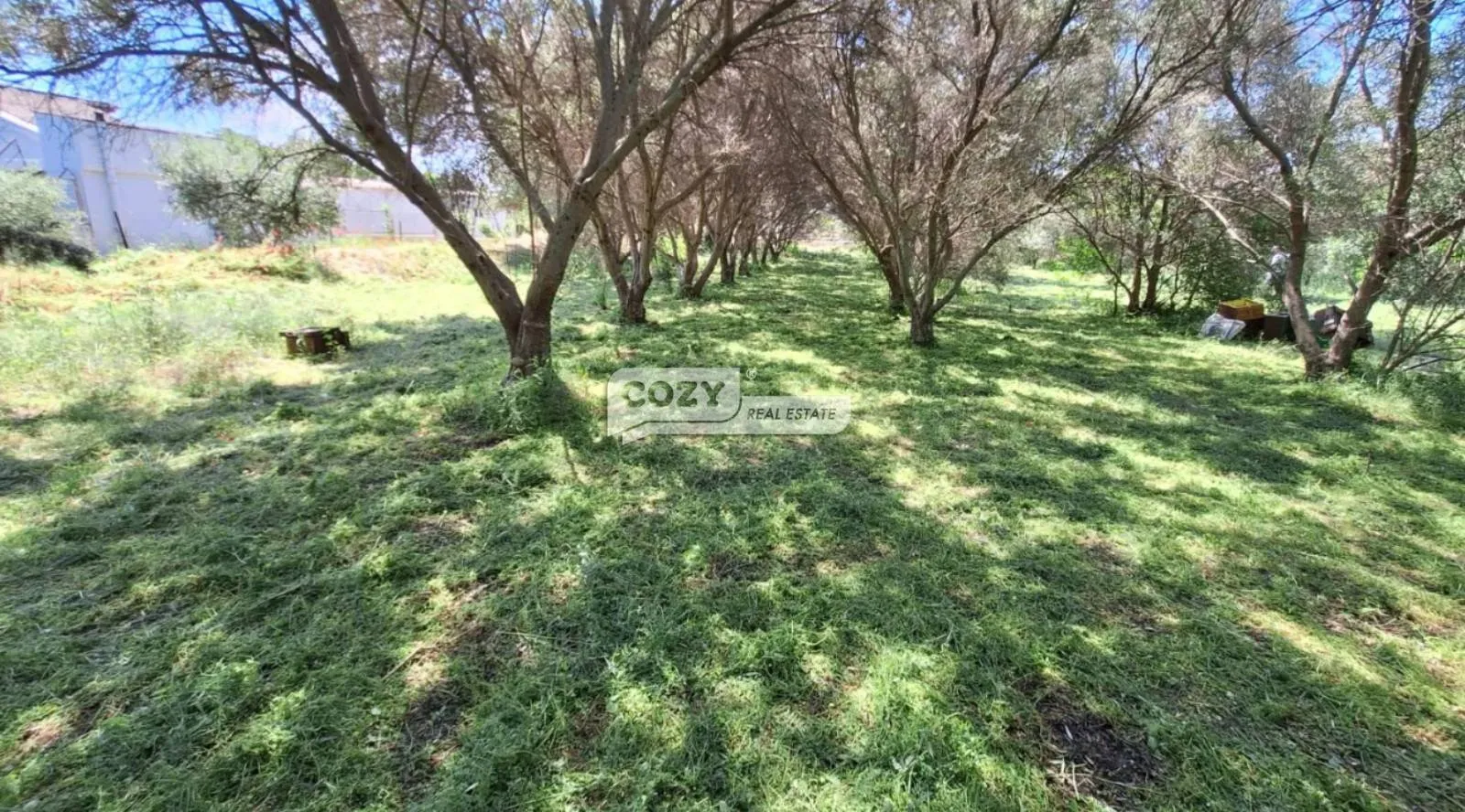 Land Parcel 7565m²  - 3