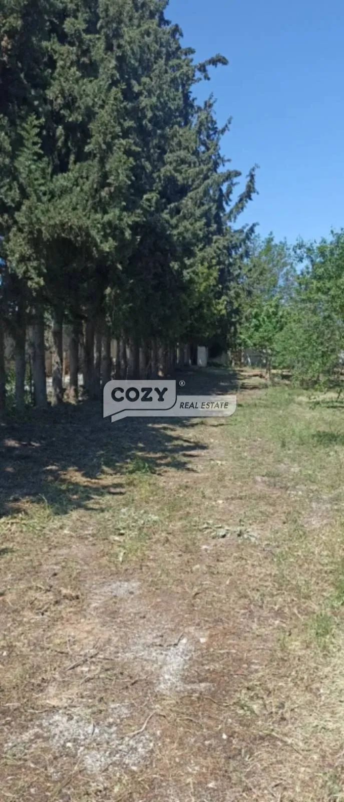 Land Parcel 7565m²  - 4