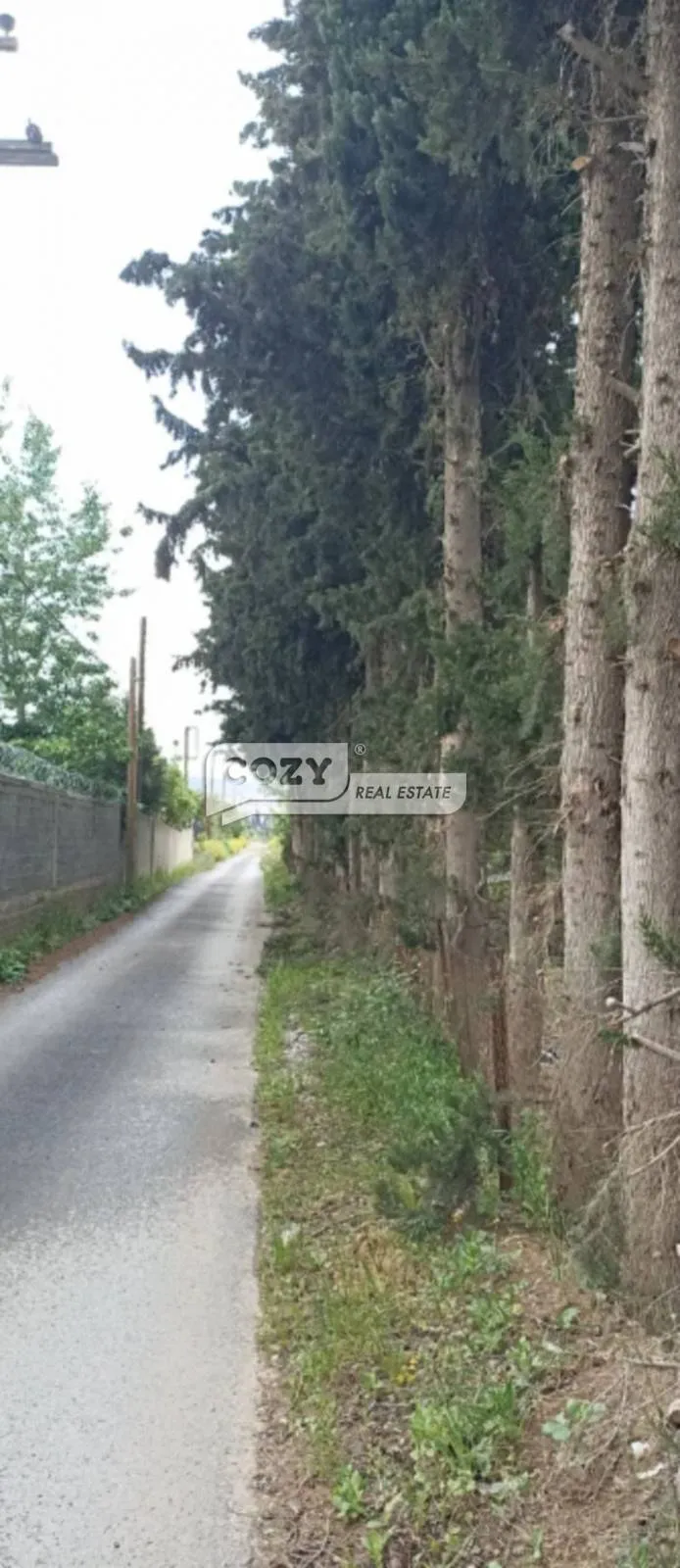 Land Parcel 7565m²  - 5