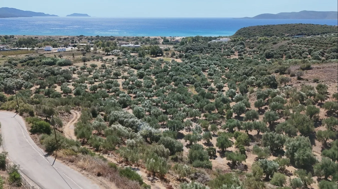 Αγροτεμάχιο 15747τ.μ.  - 4