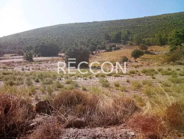 Οικόπεδο 4500τ.μ.  - 5