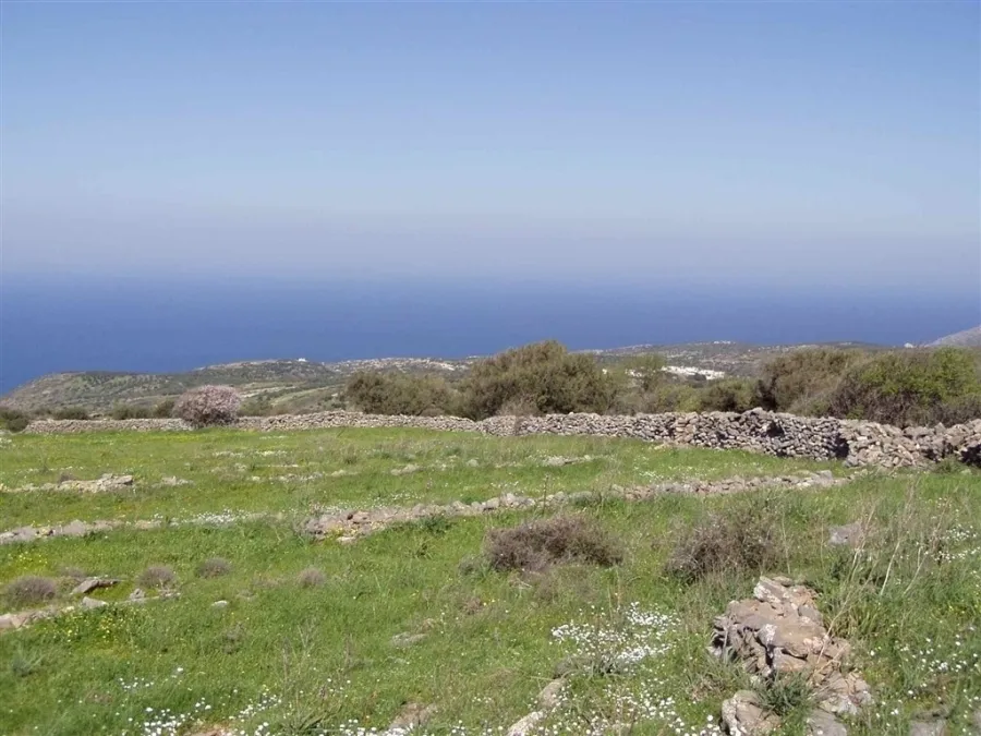 Οικόπεδο 2450τ.μ.  - 3