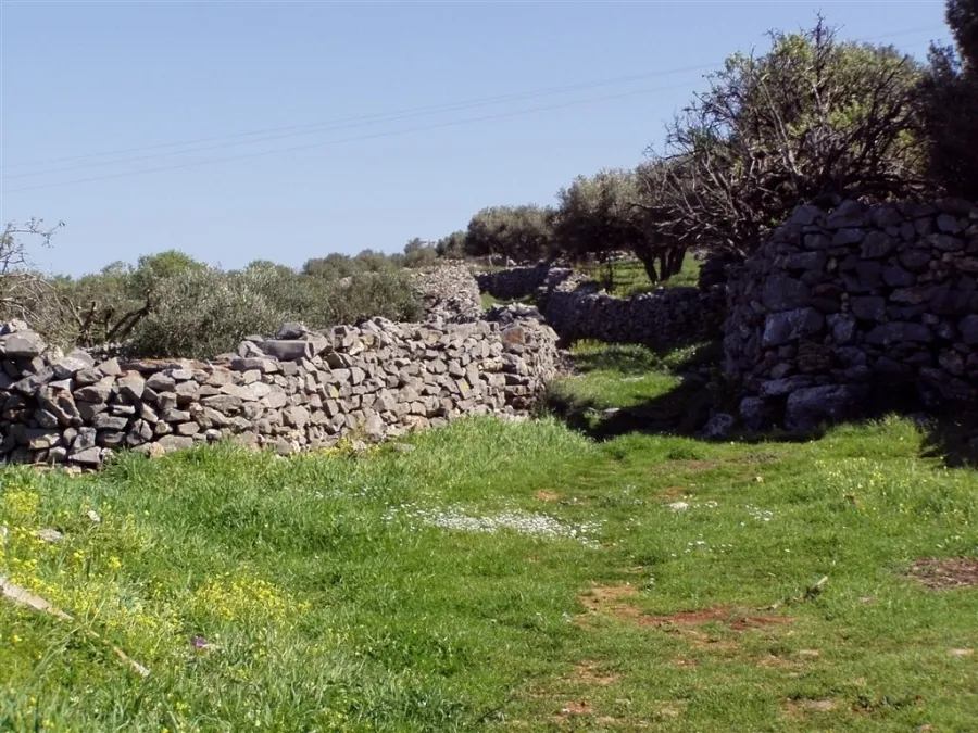 Οικόπεδο 2450τ.μ.  - 5