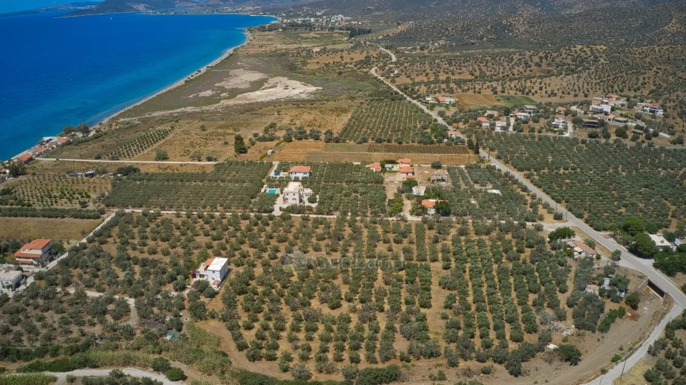 Land Parcel 9842m²  - 3
