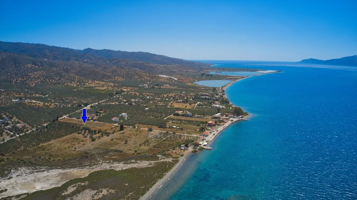 Land Parcel 9842m²  - 4