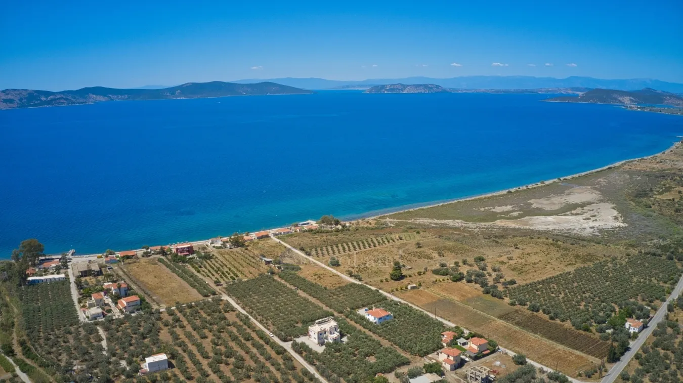Land Parcel 9842m²  - 5