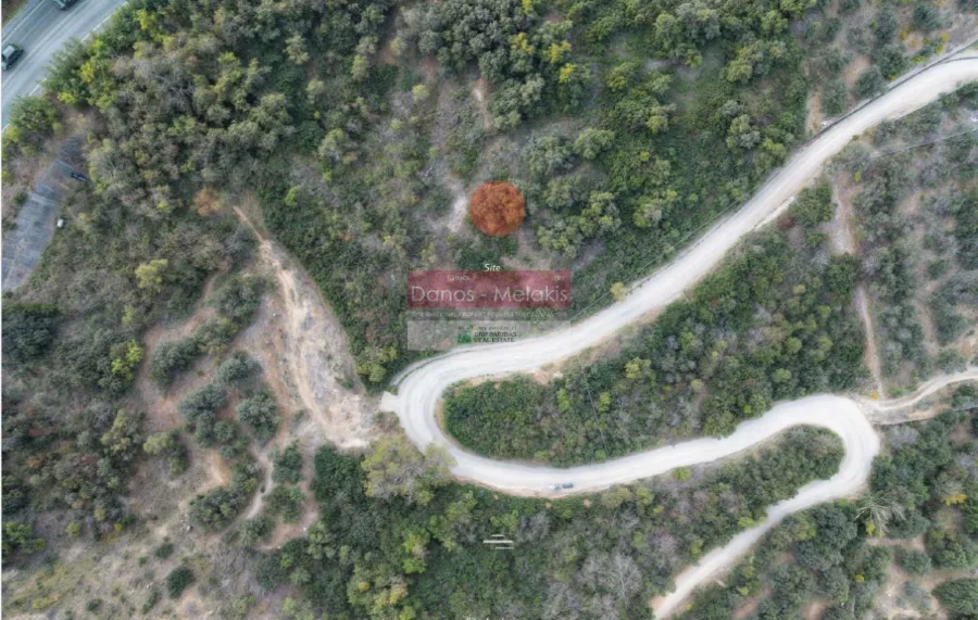 Οικόπεδο 2239τ.μ.  - 2