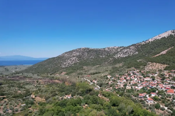 Αγροτεμάχιο 12032τ.μ.  - 2