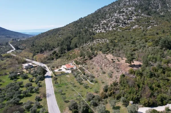 Αγροτεμάχιο 12032τ.μ.  - 3