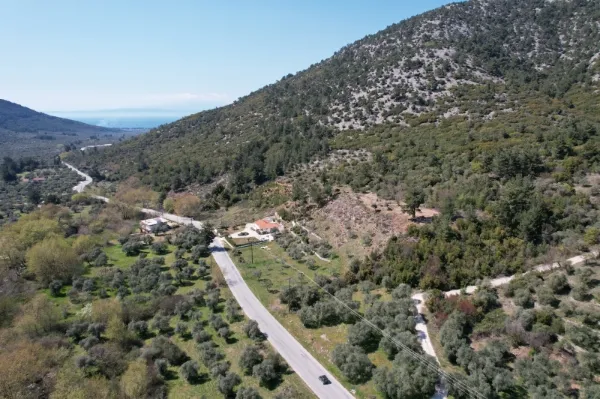 Αγροτεμάχιο 12032τ.μ.  - 5