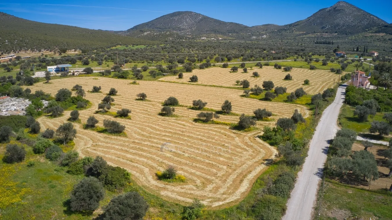 Land Parcel 31148m²  - 3