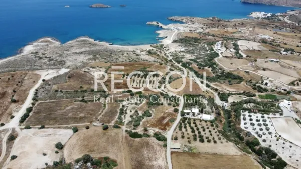 Αγροτεμάχιο 22000τ.μ.  - 2