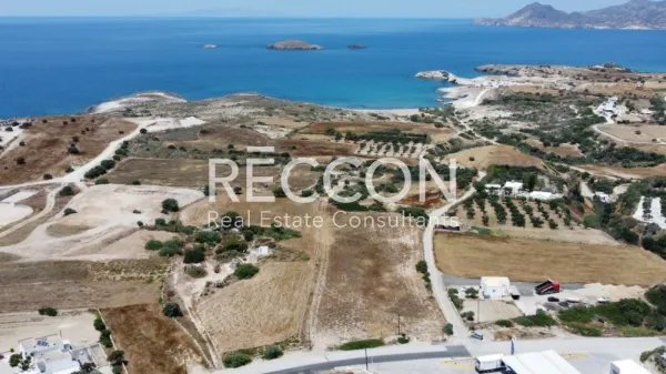 Αγροτεμάχιο 22000τ.μ.  - 3