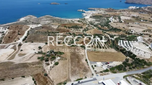 Αγροτεμάχιο 22000τ.μ.  - 4