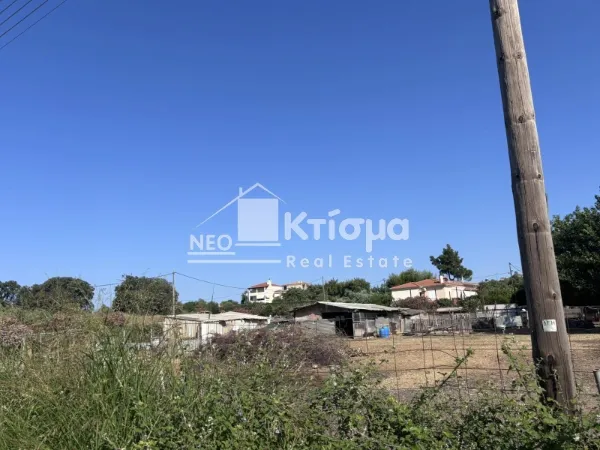 Οικόπεδο 2214τ.μ.  - 5
