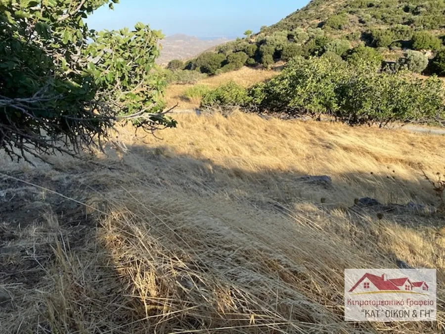 Αγροτεμάχιο 2870τ.μ.  - 3