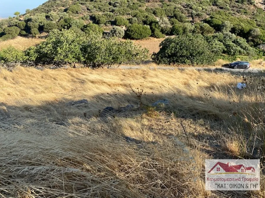 Αγροτεμάχιο 2870τ.μ.  - 4