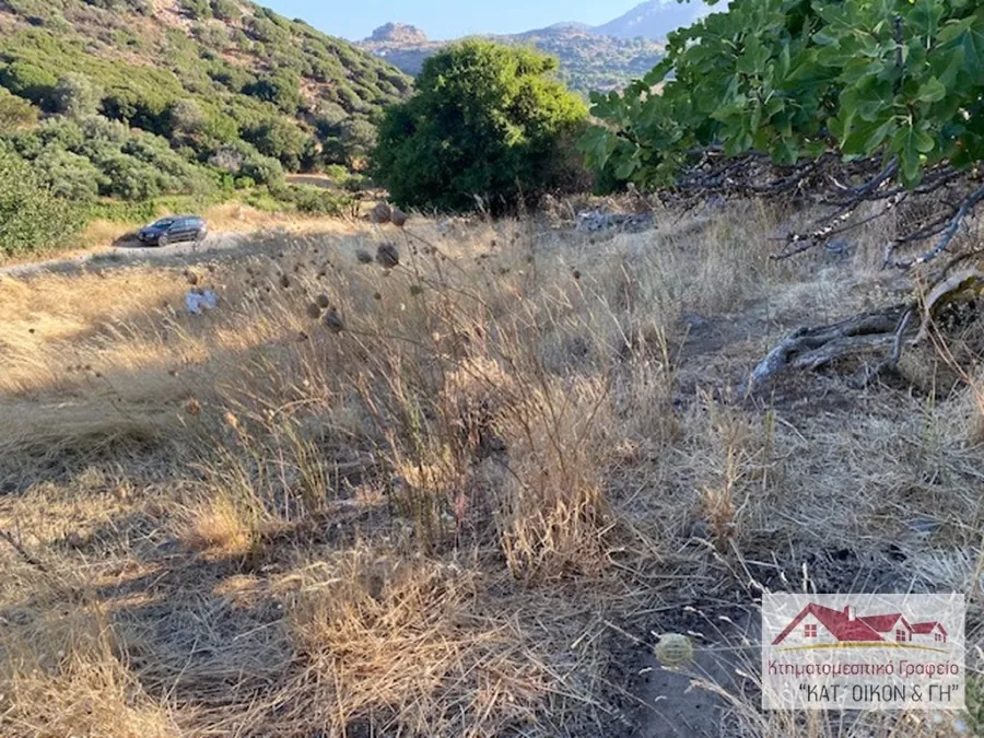 Αγροτεμάχιο 2870τ.μ.  - 5