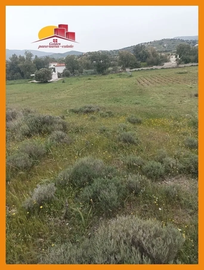 Αγροτεμάχιο 2475τ.μ.  - 2