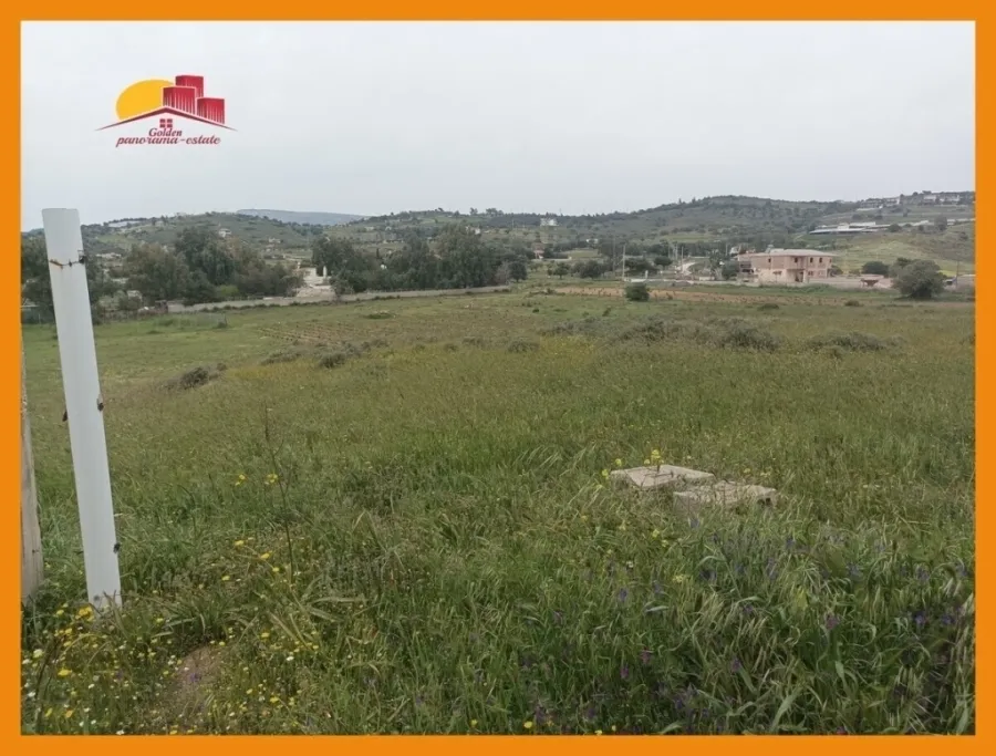 Αγροτεμάχιο 2475τ.μ.  - 5