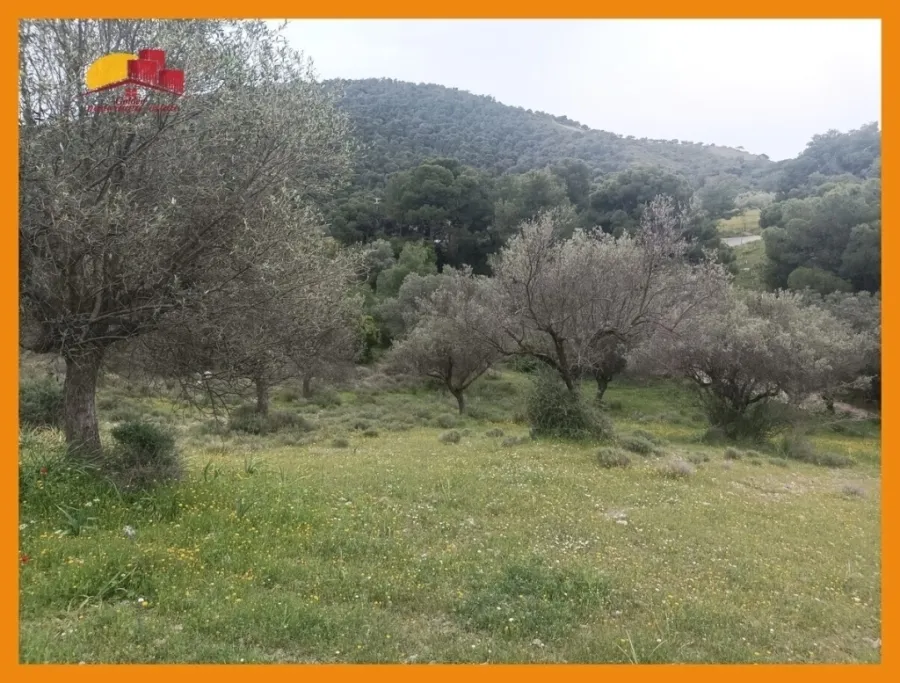 Αγροτεμάχιο 4052τ.μ.  - 2