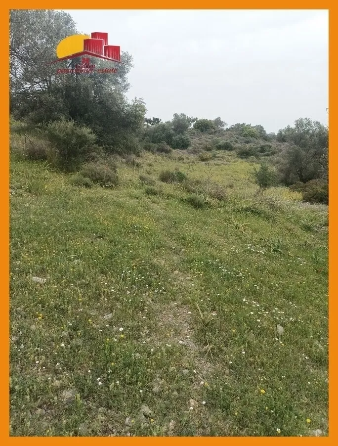 Αγροτεμάχιο 4052τ.μ.  - 4