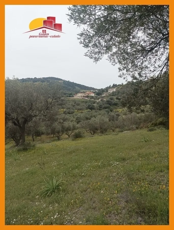 Αγροτεμάχιο 4052τ.μ.  - 5
