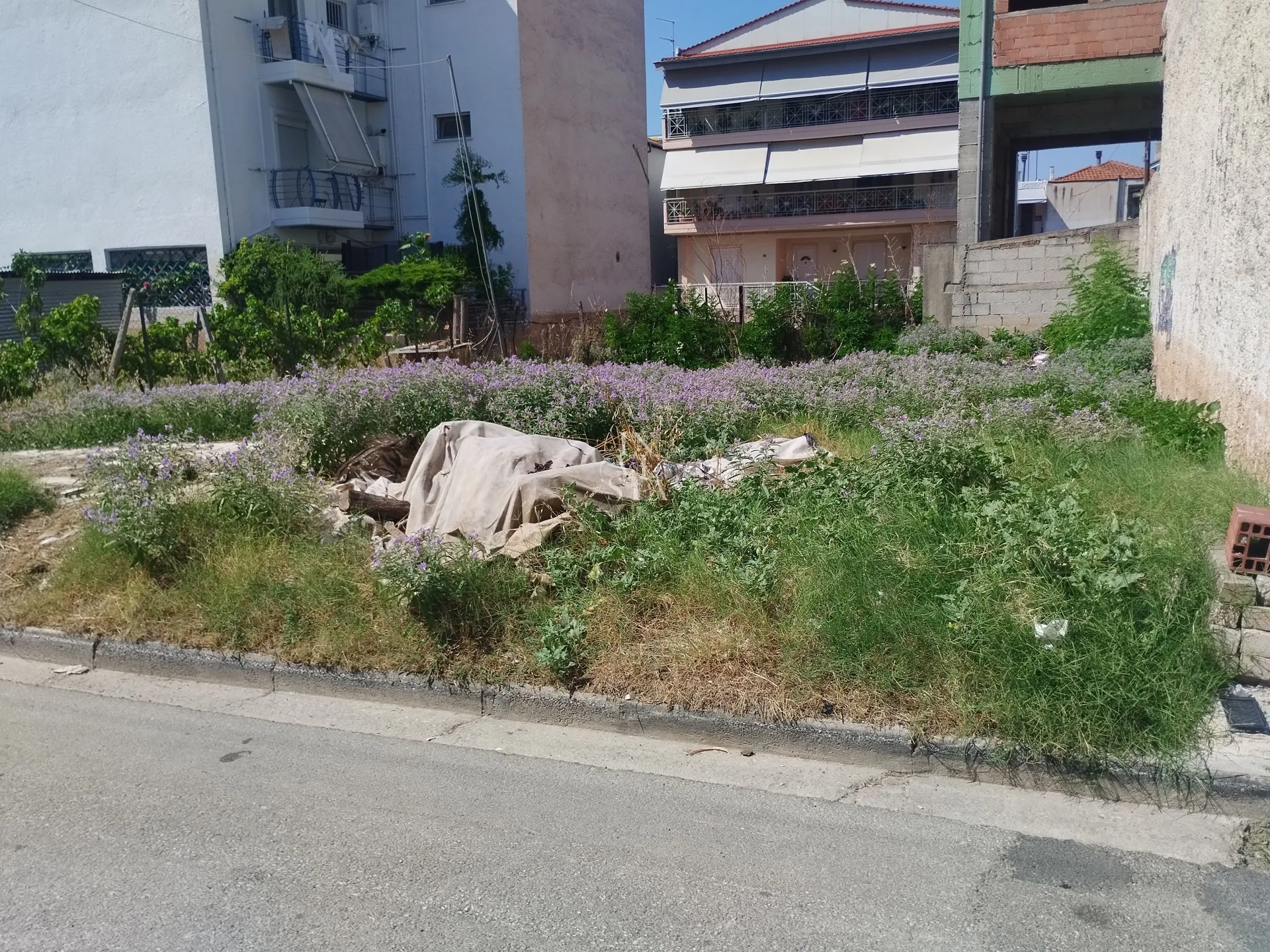Plot 159m²  - 4