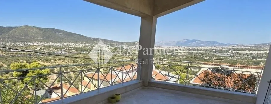 Μεζονέτα 301τ.μ.  - 4