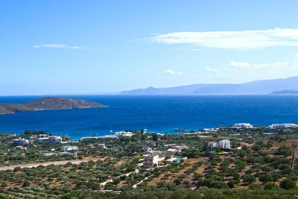 Οικόπεδο 12000τ.μ.  - 3