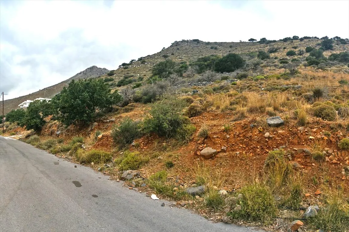 Οικόπεδο 12000τ.μ.  - 5