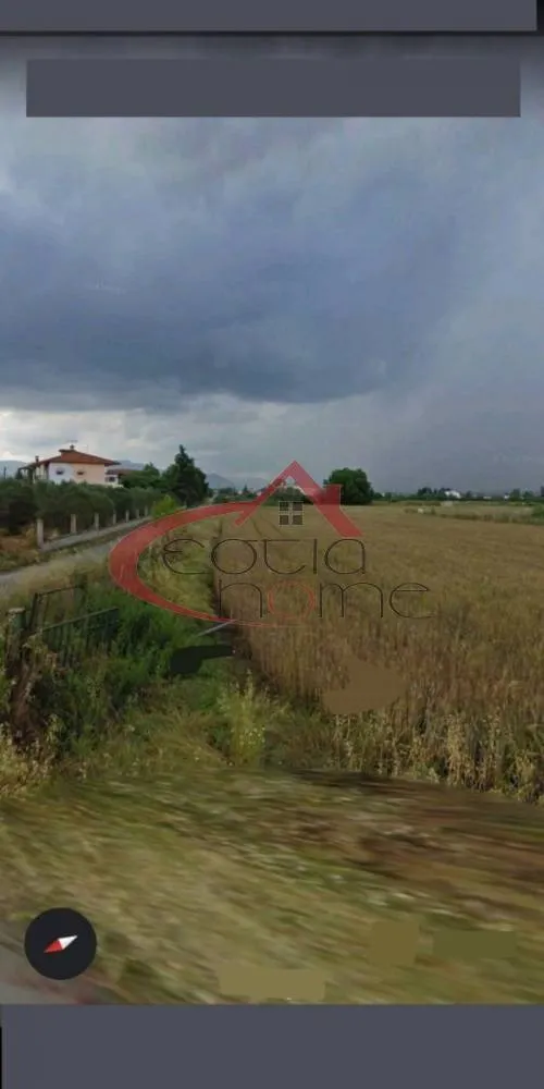 Plot 3256m²  - 4