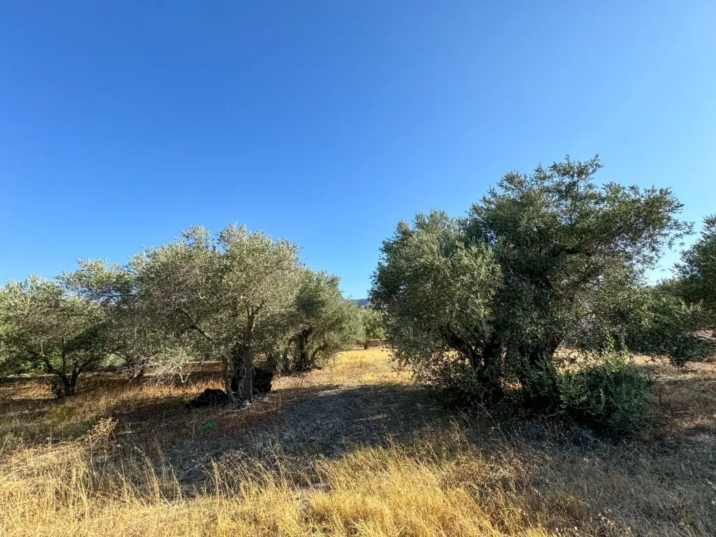Οικόπεδο 1050τ.μ.  - 2