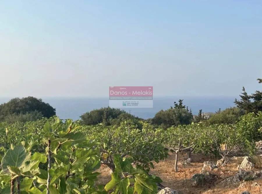 Οικόπεδο 4806τ.μ.  - 2