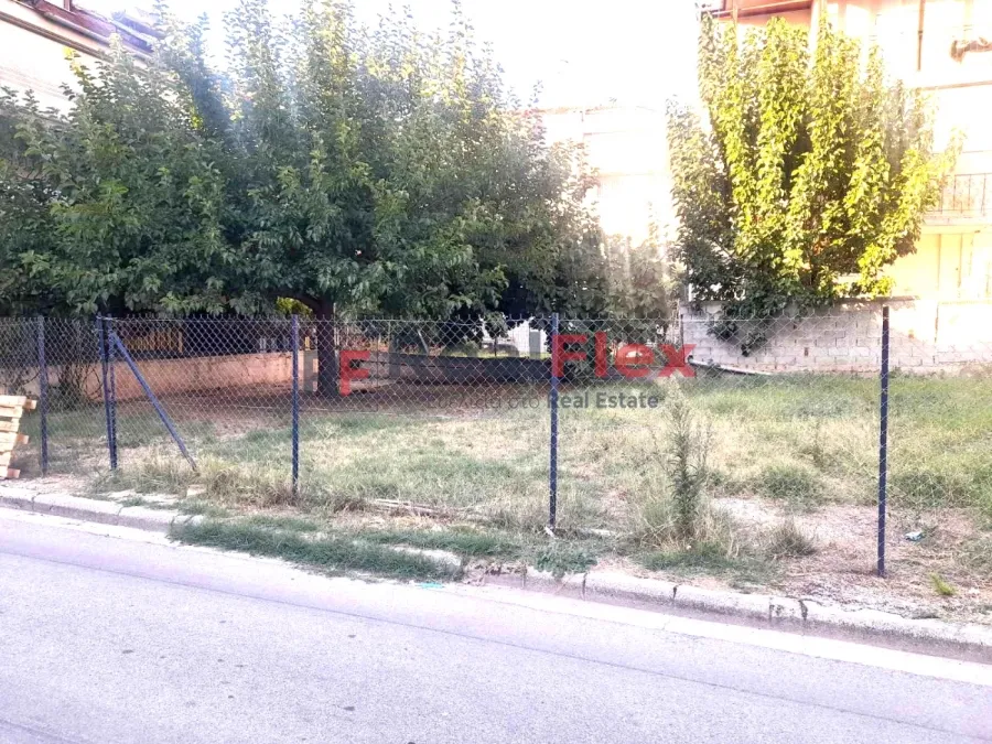 Plot 195m²  - 3