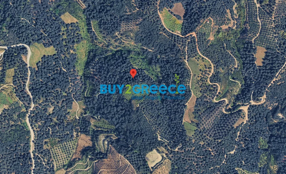 Plot 12730m²  - 2
