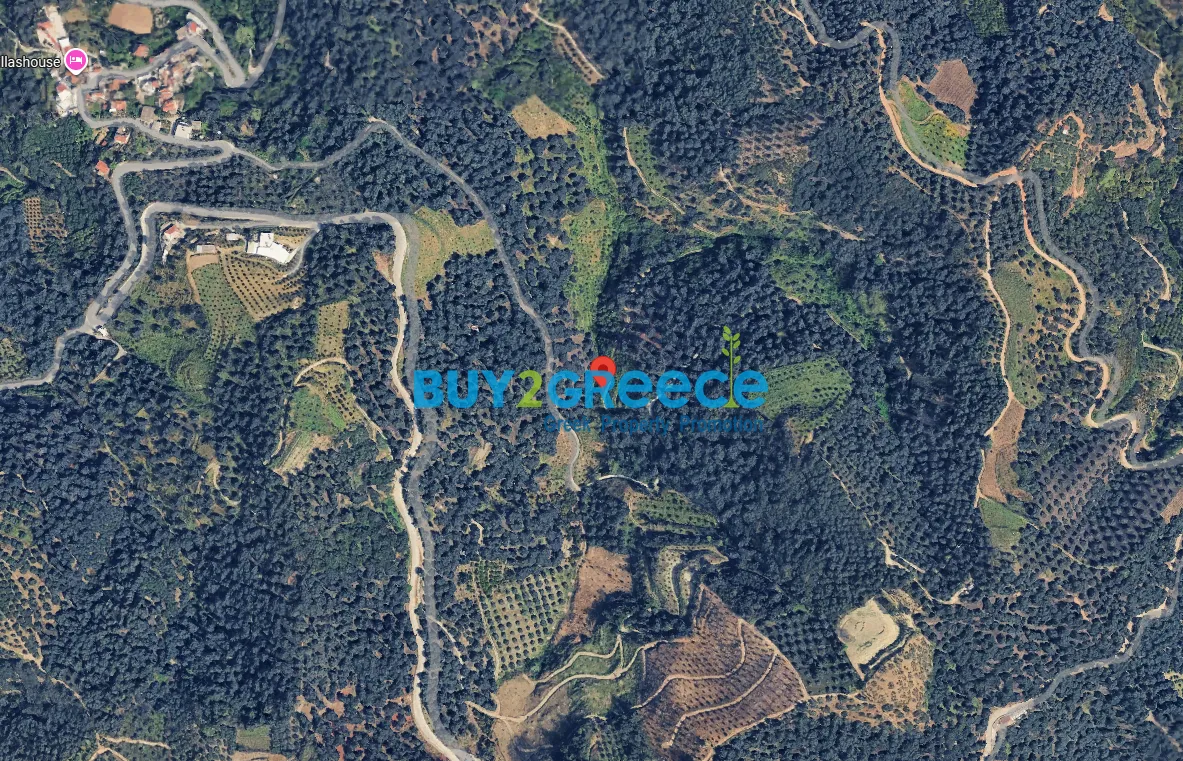 Αγροτεμάχιο 423τ.μ.  - 2