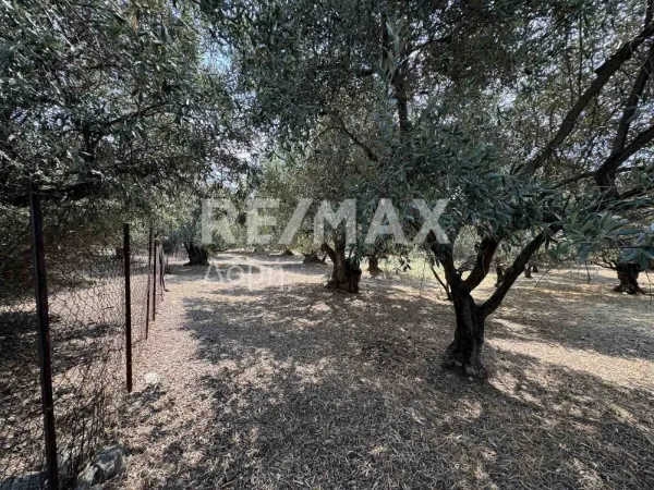 Αγροτεμάχιο 3056τ.μ.  - 3