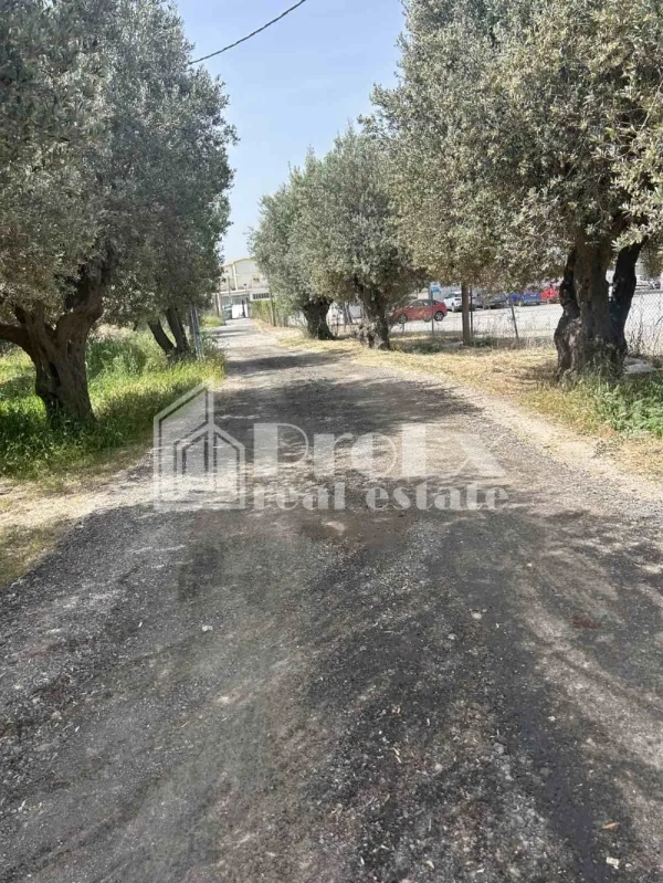 Αυτόνομο κτήριο γραφείων 568τ.μ.  - 2