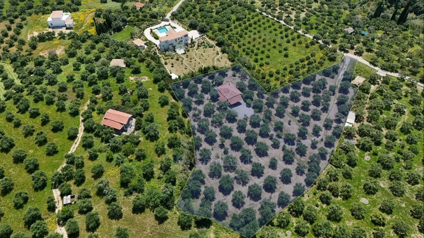 Detached house 63m²  - 3
